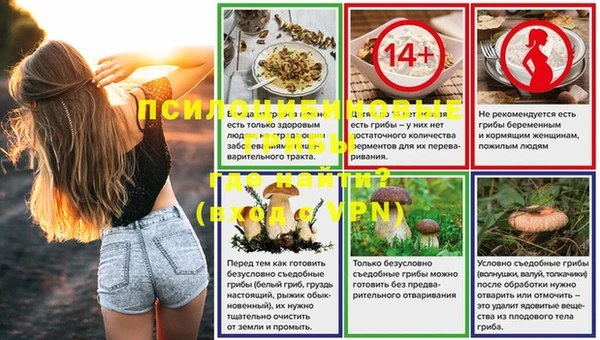 бошки Алзамай